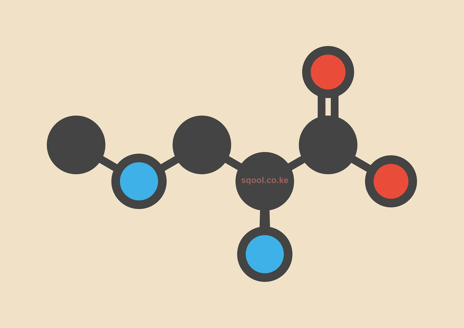 Introduction to Organic Chemistry